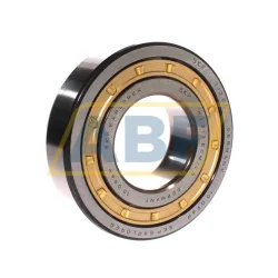 Цилиндрический роликовый подшипник NJ NJ313ECM/C3 SKF