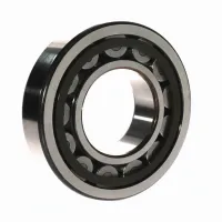 Цилиндрический роликовый подшипник однорядный NU315ECP/C4/R821 SKF