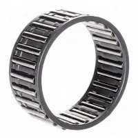 Игольчатый роликовый подшипник с сепаратором K50X58X25 SKF