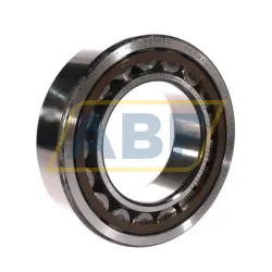 Цилиндрический роликовый подшипник NU NU2219ECP/C3 SKF