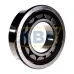 Цилиндрический роликовый подшипник NU NU321ECP SKF