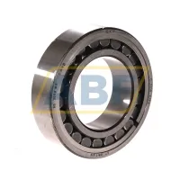 Роликовый подшипник C2210V/C4 SKF