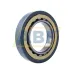 Цилиндрический роликовый подшипник NU NU226ECM/C3VL0241 SKF
