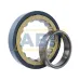 Цилиндрический роликовый подшипник NU NU226ECM/C3VL0241 SKF