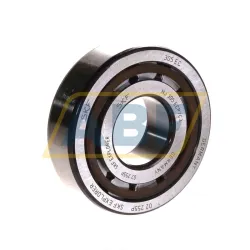 Цилиндрический роликовый подшипник NJ NJ305ECP/C3 SKF