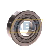Цилиндрический роликовый подшипник однорядный MA1307EX Link-Belt
