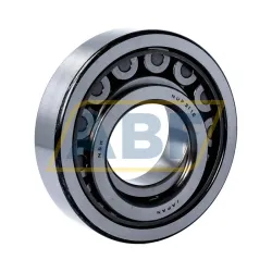 Цилиндрический роликовый подшипник однорядный NUP311EWC3 NSK