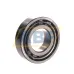 Цилиндрический роликовый подшипник однорядный NF206WC3 NSK