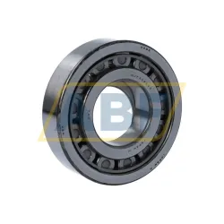 Цилиндрический роликовый подшипник однорядный NUP309EWC3 NSK