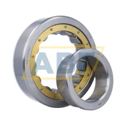 Цилиндрический роликовый подшипник однорядный NJ319EMAC4S1 RKB