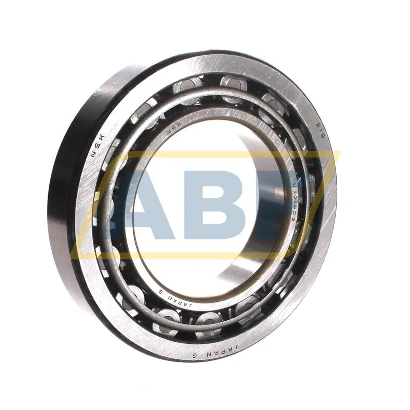 Цилиндрический роликовый подшипник однорядный NJ219WC3 NSK 360