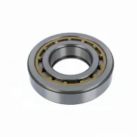 Цилиндрический роликовый подшипник однорядный NUP317G1 C3 NTN