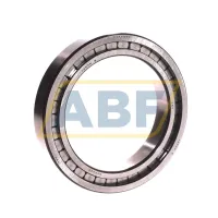 Цилиндрический роликовый подшипник однорядный NCF2920V NSK
