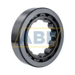 Цилиндрический роликовый подшипник однорядный RNU314W NSK