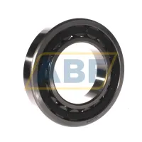 Цилиндрический роликовый подшипник однорядный NU219E C3 FBJ