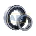 Цилиндрический роликовый подшипник однорядный NJ317E ZVL