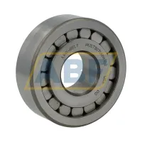 Цилиндрический роликовый подшипник однорядный MUS7307UMW102 Rexnord