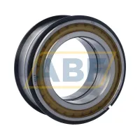 Цилиндрический роликовый подшипник SL04-5019PP 2NR FBJ