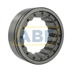 Цилиндрический роликовый подшипник однорядный RE5220U118 Rollway