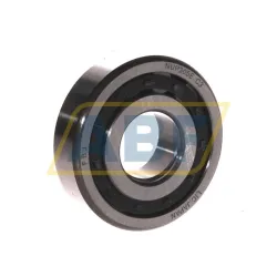 Цилиндрический роликовый подшипник однорядный NUP305E C3 FBJ