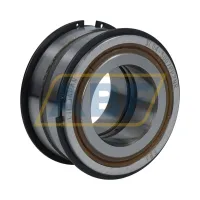 Цилиндрический роликовый подшипник SL04-5007PP 2NR FBJ