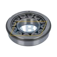 Цилиндрический роликовый подшипник однорядный BS500192S Rexnord