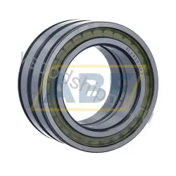 Цилиндрический роликовый подшипник SL045016-PP Neutral
