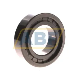 Цилиндрический роликовый подшипник однорядный SL18-2211 Neutral