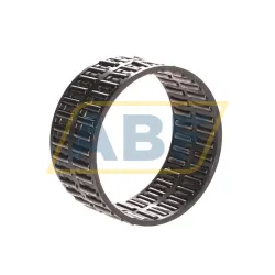 Игольчатый роликовый подшипник с сепаратором F58551 INA