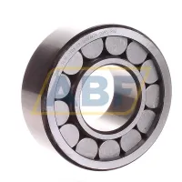 Цилиндрический роликовый подшипник SL192308C3 INA