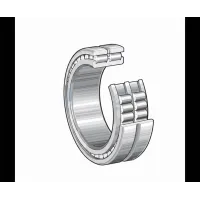 Цилиндрический роликовый подшипник SL024896 INA