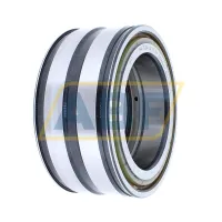 Цилиндрический роликовый подшипник SL045017-PP INA