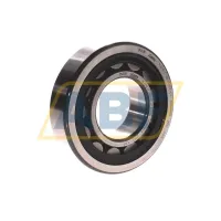 Цилиндрический роликовый подшипник SL184926-A-C3 INA