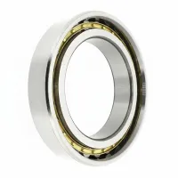 Цилиндрический роликовый подшипник N N1013-M1-SP-C2 FAG