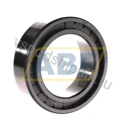 Цилиндрический роликовый подшипник SL18-3016A C3 INA