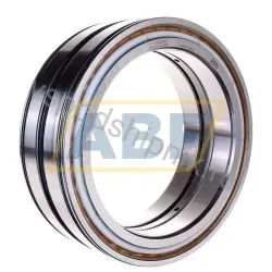 Цилиндрический роликовый подшипник SL04180-D-PP INA