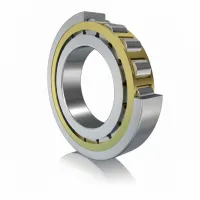Цилиндрический роликовый подшипник однорядный NJ219-E-XL-M1-F1-J20A-C4 FAG