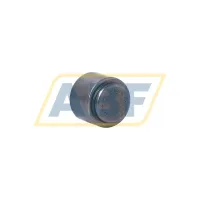 Игольчатый роликовый подшипник с сепаратором F-65477.01.BCH INA