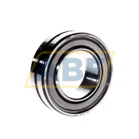 Сферический роликовый подшипник (X-life) WS22210-E1-2RSR FAG