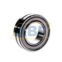 Сферический роликовый подшипник (X-life) WS22210-E1-2RSR FAG