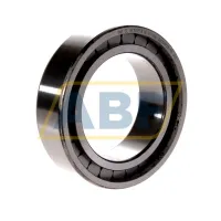 Цилиндрический роликовый подшипник SL18-3015 INA