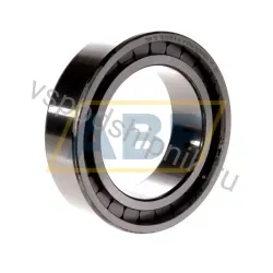 Цилиндрический роликовый подшипник SL18-3015 INA