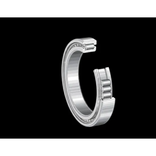 Цилиндрический роликовый подшипник SL1818/500-E INA