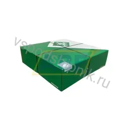 Цилиндрический роликовый подшипник SL04200-D-PP-2NR INA