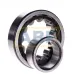 Цилиндрический роликовый подшипник SL045018-PP INA