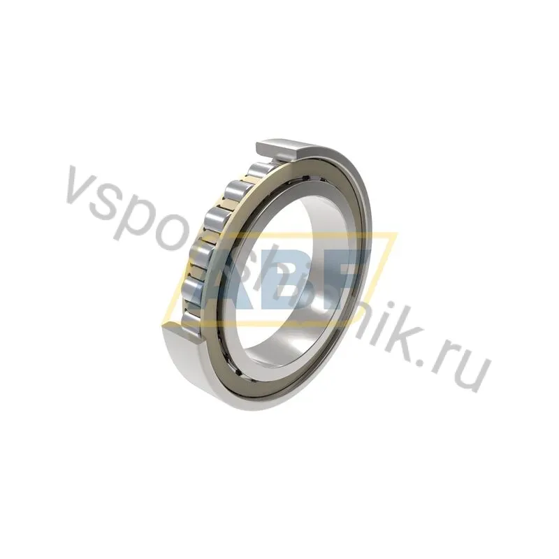 Цилиндрический роликовый подшипник N N1008-K-TR-PVPA1-SP FAG 360