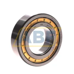 Цилиндрический роликовый подшипник однорядный NUP2209-E-XL-M1-C3 FAG