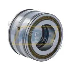 Цилиндрический роликовый подшипник SL04-5005PP INA