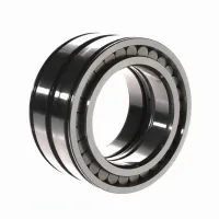 Цилиндрический роликовый подшипник SL045016-D INA