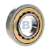 Цилиндрический роликовый подшипник NU NU319ECM/C3VL0241 SKF